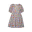 MEADOW MULTI COLOR DRESS